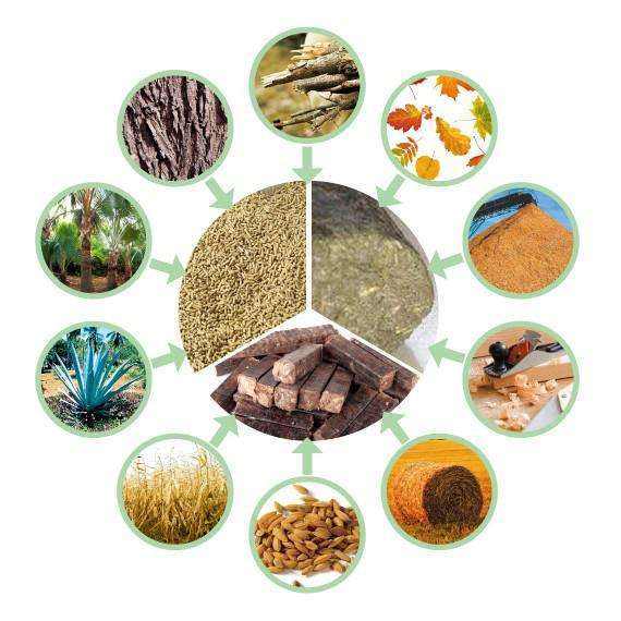 生物質(zhì)清潔能源的來源