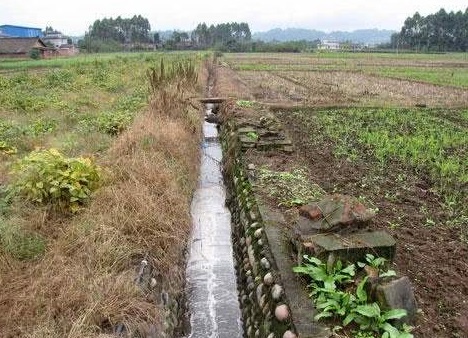 農(nóng)田污染土壤修復(fù)的環(huán)境可持續(xù)性考慮